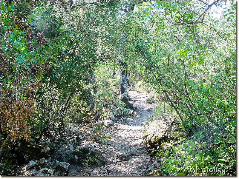 Termessos in Pisidien - Der Weg zur Hauptnekropole