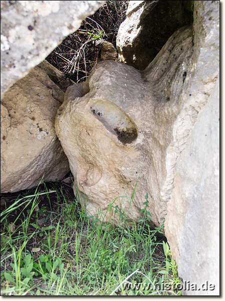 Balbura in Karien - Löwenkopf als Verzierung eines Sarkophag-Deckels