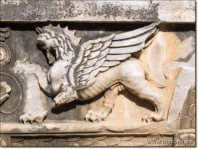 Didyma in Karien - Abbild eines 'Löwengreifs' auf einem Gebälkstein des Daches des Apollon-Tempels