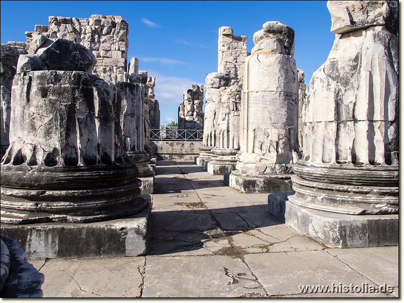 Didyma in Karien - Säulenreihen im Eingangbereich des Apollon-Temples von Didyma