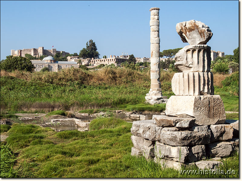 Ephesos in Karien - Die Reste des Arthemis-Tempels von Ephesos, im Hintergrund z.B. die St. Johannes-Basilika