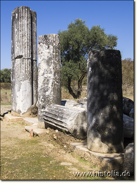 Euromos in Karien - Säulenreste der Stoa rund um die Agora von Euromos