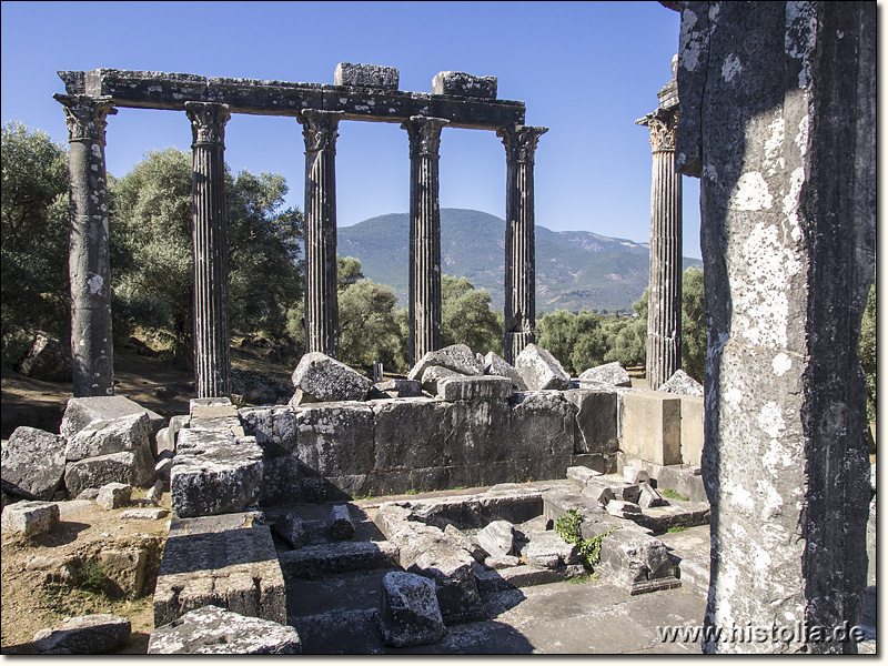 Euromos in Karien - Säulenreihe des Zeus-Tempels von Euromos