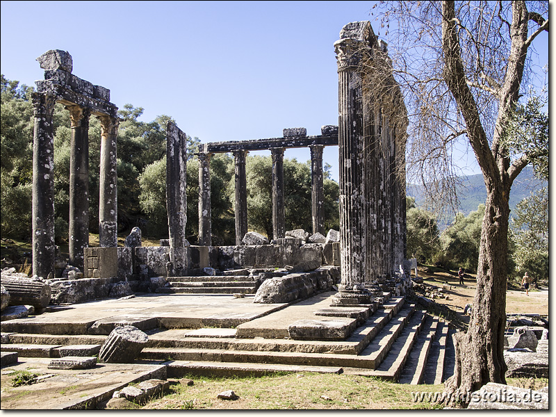 Euromos in Karien - Ostseite des Zeus-Tempels von Euromos
