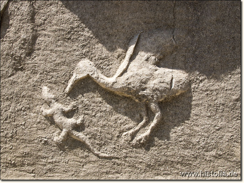 Magnesia in Karien - Storch frißt Echse; ein Relief aus Magnesia