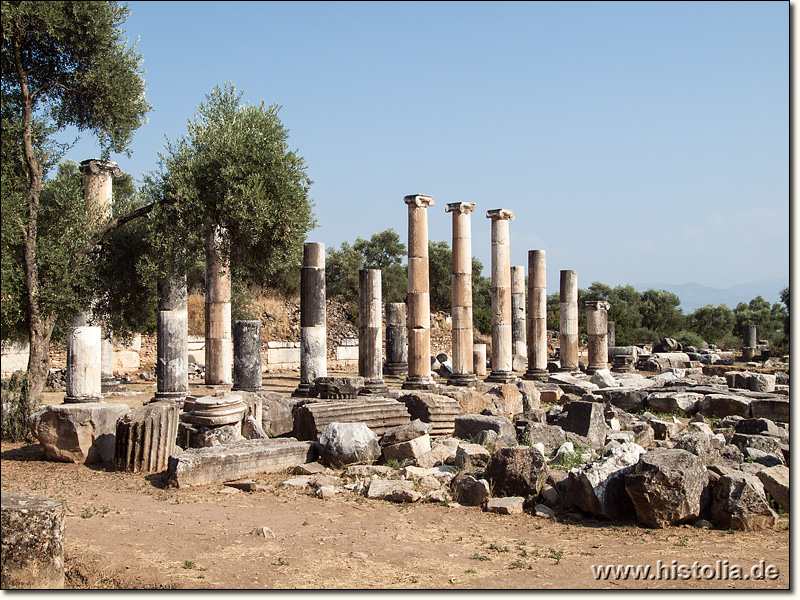Nysa in Karien - Säulenreihen einer Stoa rund um die große Handels-Agora von Nysa