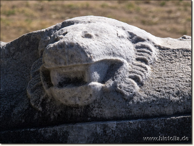 Priene in Karien - Löwenkopf auf einem Architravstein der Stoa oberhalb des Stadions