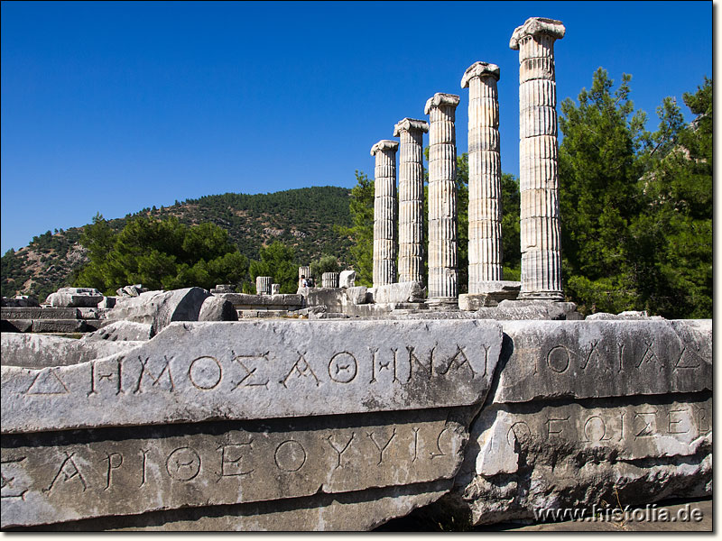 Priene in Karien - 5 (von mehr als 30) wieder aufgestellte Säulen des Athene-Tempels von Priene
