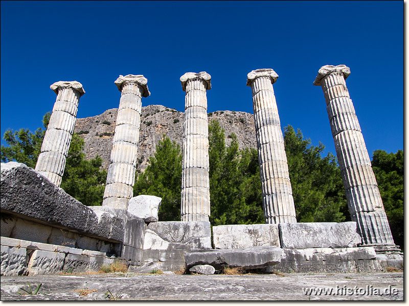 Priene in Karien - 5 (von mehr als 30) wieder aufgestellte Säulen des Athene-Tempels von Priene