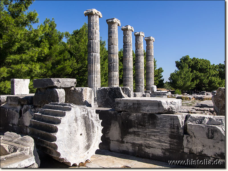 Priene in Karien - 5 (von mehr als 30) wieder aufgestellte Säulen des Athene-Tempels von Priene