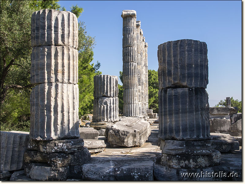 Priene in Karien - 5 (von mehr als 30) wieder aufgestellte Säulen des Athene-Tempels von Priene