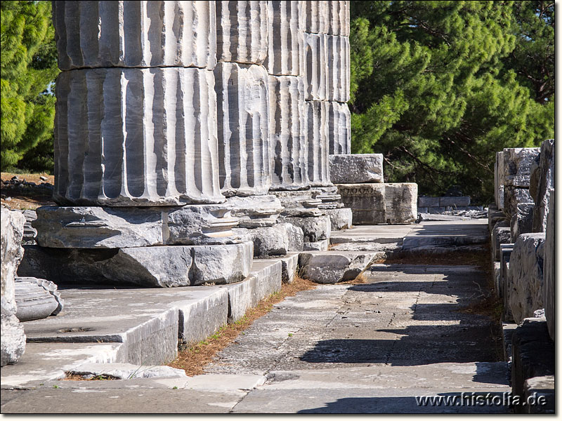 Priene in Karien - 5 (von mehr als 30) wieder aufgestellte Säulen des Athene-Tempels von Priene