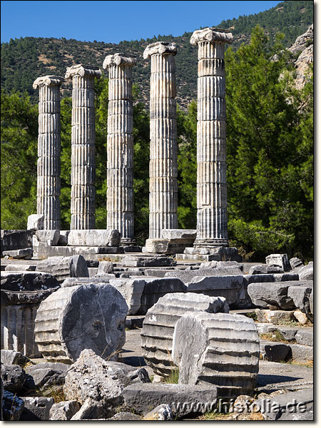 Priene in Karien - 5 (von mehr als 30) wieder aufgestellte Säulen des Athene-Tempels von Priene