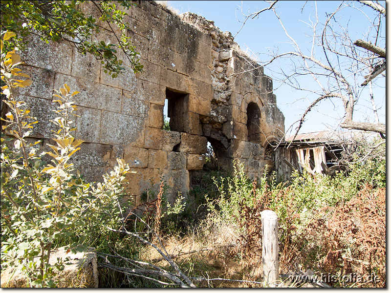 Korapissos in Kilikien - Beschreibung des Testbildes