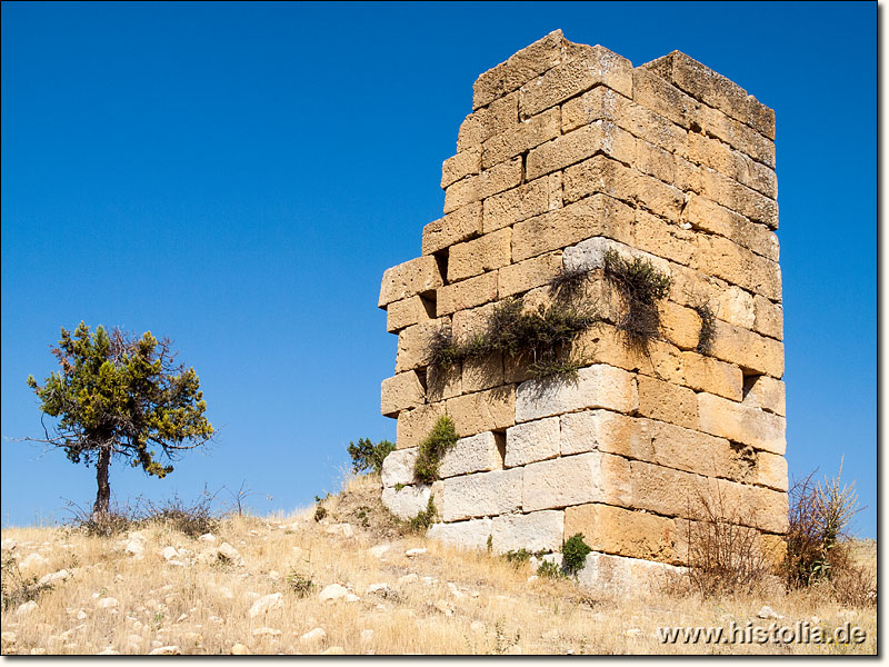 Korapissos in Kilikien - Beschreibung des Testbildes