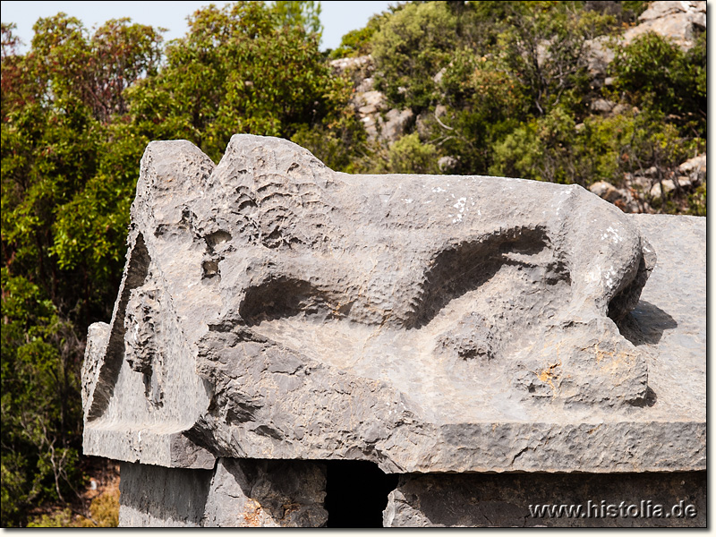 Lamos in Kilikien - Zwei liegende Löwen als Verzierung auf einem Sarkophagdeckel