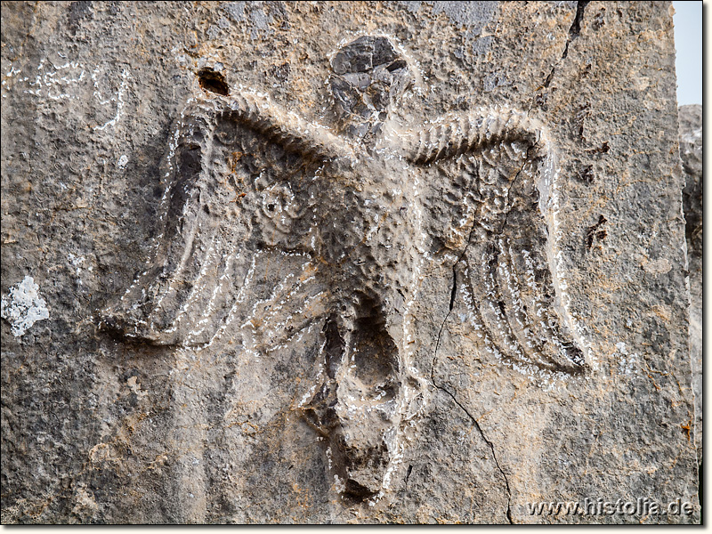 Lamos in Kilikien - Adler als Verzierung eines Sarkophages