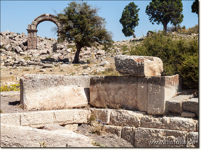 Leontopolis in Lykaonien - Beschreibung des Testbildes