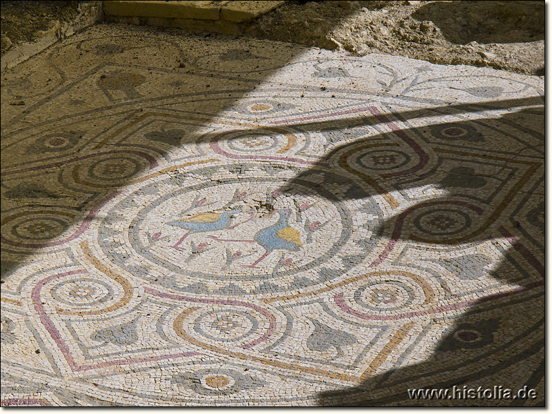 Arykanda in Lykien - Fußbodenmosaik der großen Basilika von Arykanda
