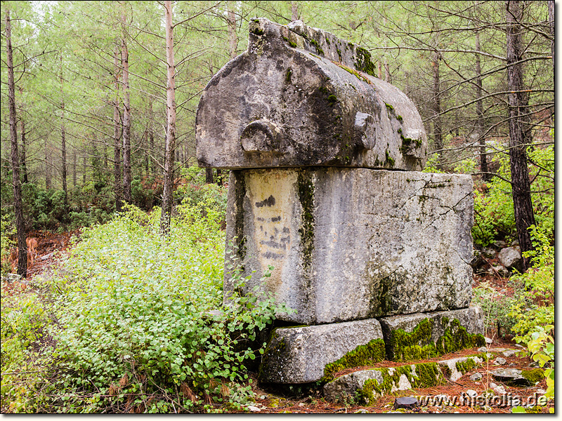 Idebessos in Lykien - Sarkophag in der Südnekropole von Idebessos