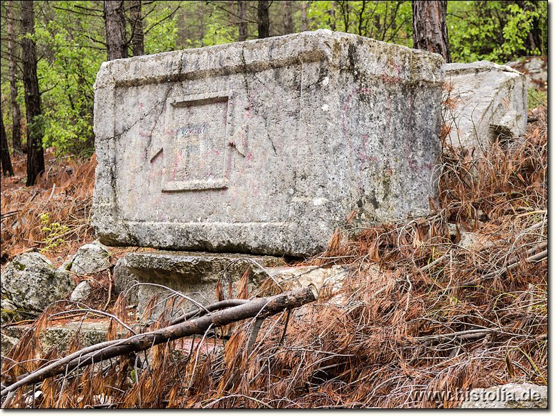 Idebessos in Lykien - Sarkophag in der Südnekropole von Idebessos