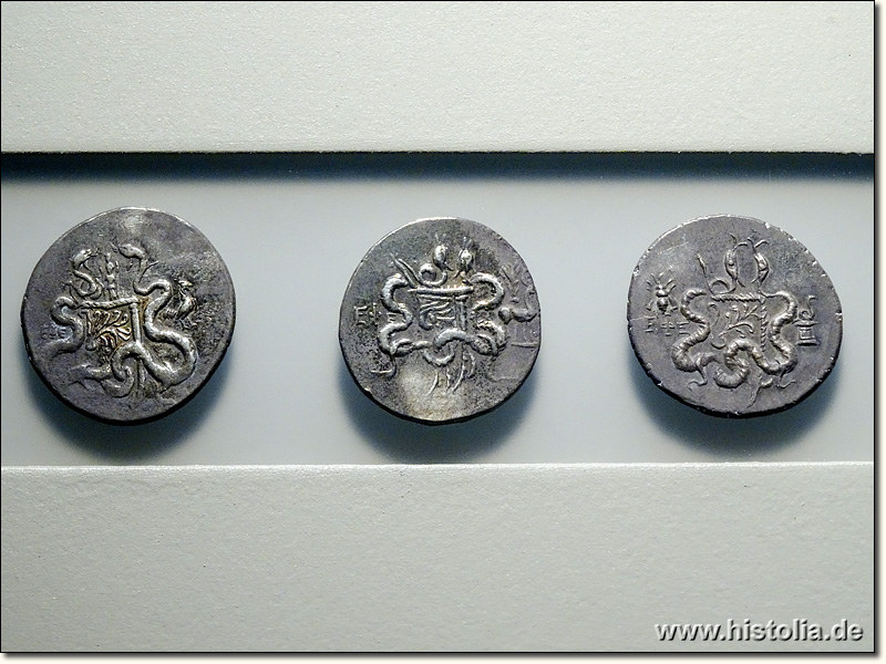 Museum von Selçuk - Silbermünzen mit Schlangenmotiv (Isis ?!?) aus Ephesos