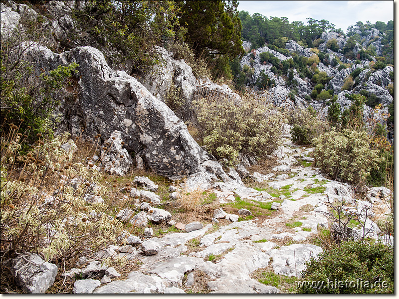 Kolybrassos in Pamphylien - Antiker Weg vor einer Reihe von Felsräumen im östlichen Wohngebiet