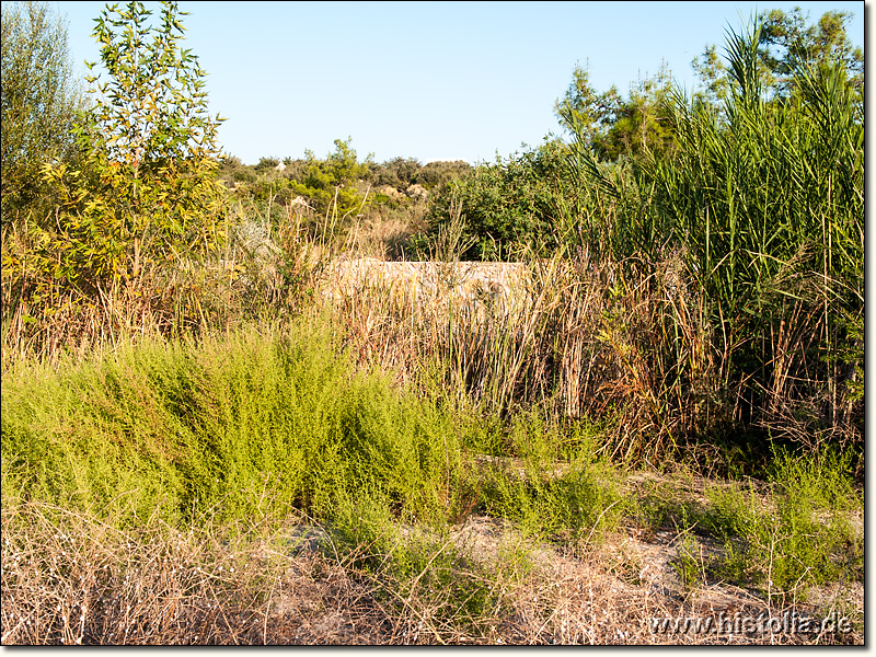 Olbia in Pamphylien - Blick über den Arapsu-Fluß nach Osten auf den Stadthügel von Olbia