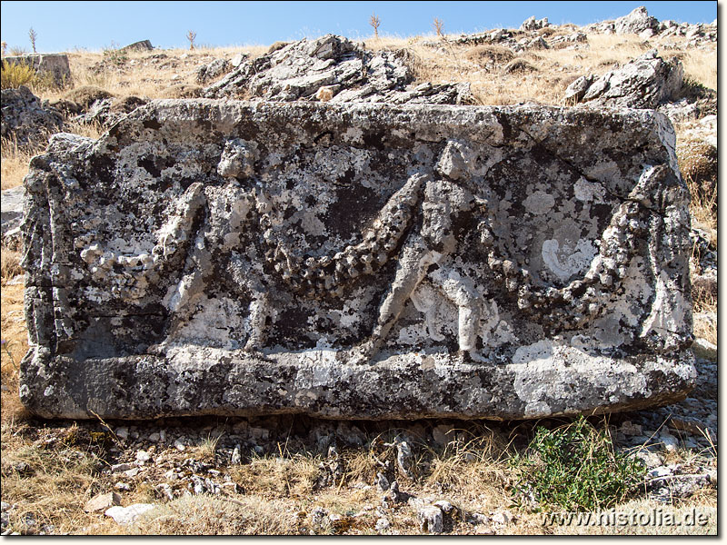 Sagalassos in Pisidien - Sarkophag mit Girlandenträgern aus der Nekropole an der Nordseite des  'Alexander-Hügels'