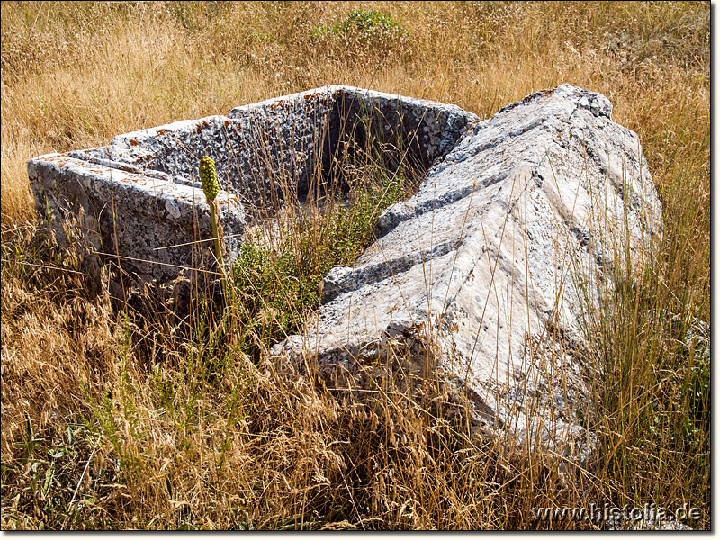 Sagalassos in Pisidien - Ein Sarkophag aus der Ost-Nekropole von Sagalassos