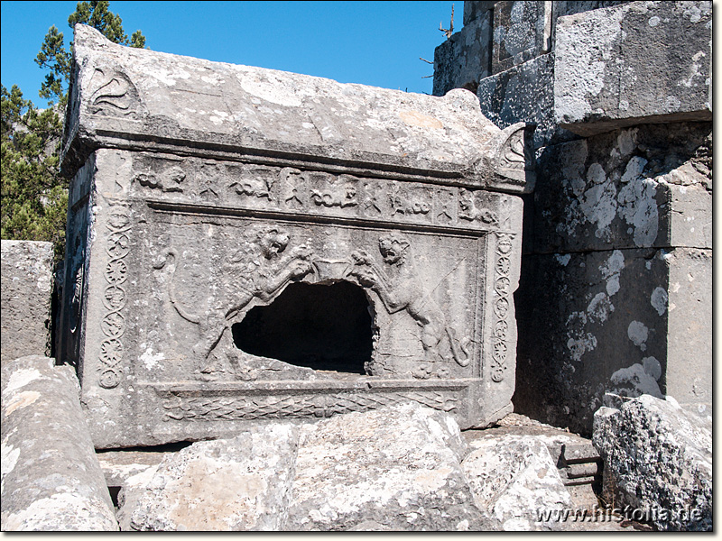 Termessos in Pisidien - Löwen-Sarkophag in der Süd-West-Nekropole