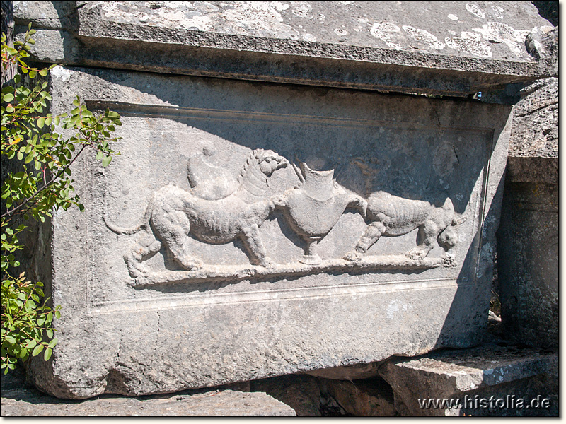 Termessos in Pisidien - Sarkophag in der Süd-West-Nekropole