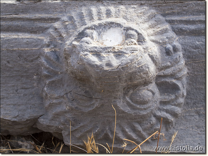 Juliosebaste in Kilikien - Löwenkopf als Verzierung auf einem Architrav eines Tempels oder des Bouleuterions