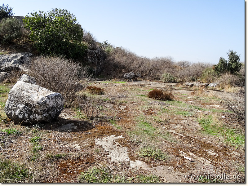 Myous in Karien - Plateau des Dionysos-Tempels von Myous mit Säulenrest